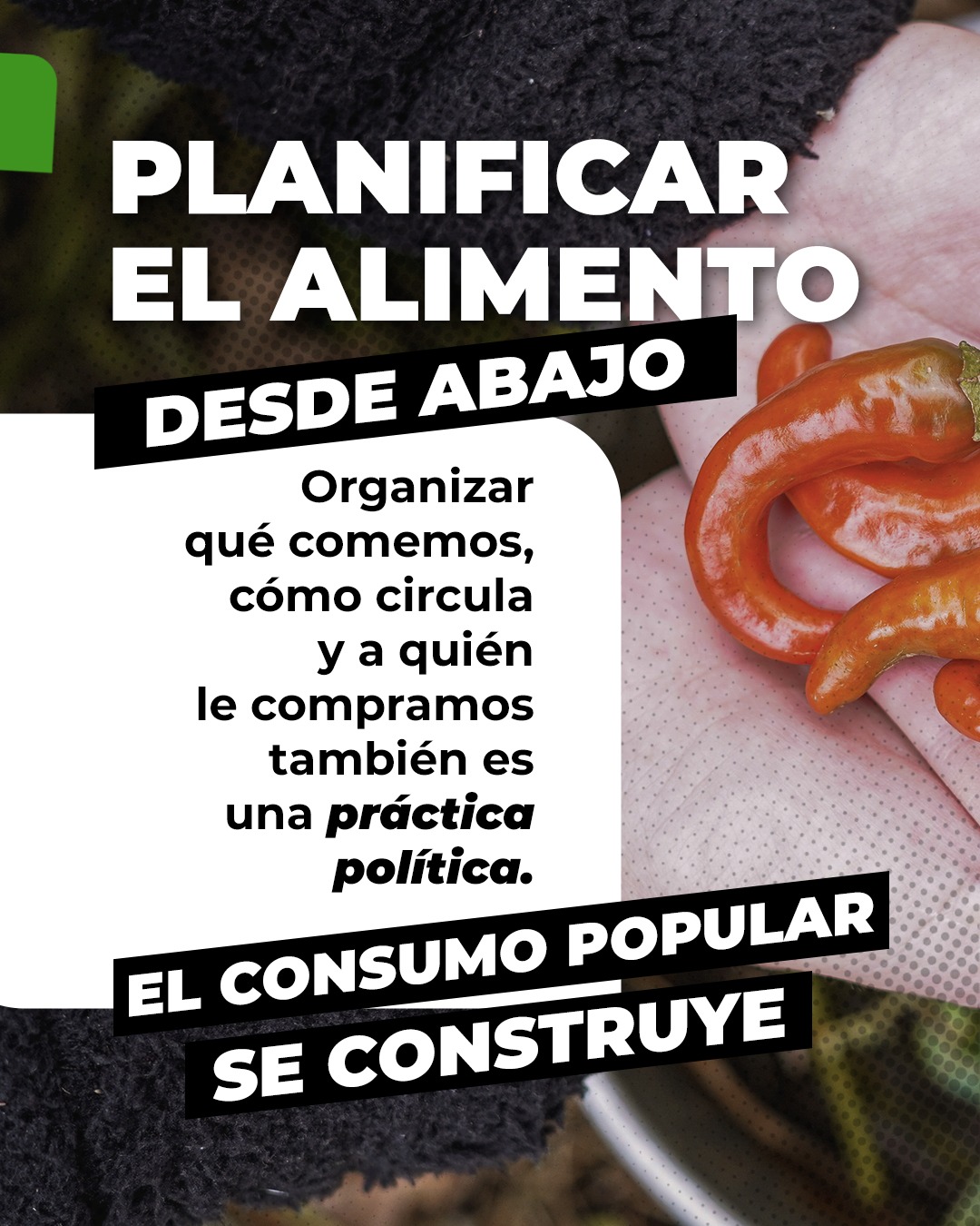 De quienes producen a tu mesa - Imagen 1